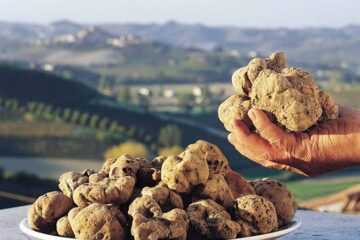 Viaggi gourmet: destinazione 61ª Fiera Internazionale del Tartufo Bianco di Acqualagna nelle Marche