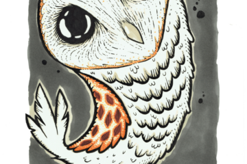 Mostra di illustrazioni “Fauna disturbata” in Biblioteca civica di Alba a ottobre