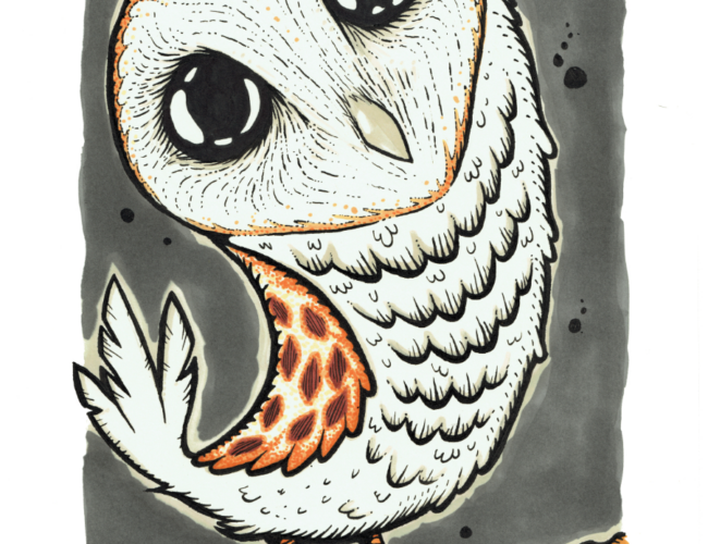 Mostra di illustrazioni “Fauna disturbata” in Biblioteca civica di Alba a ottobre