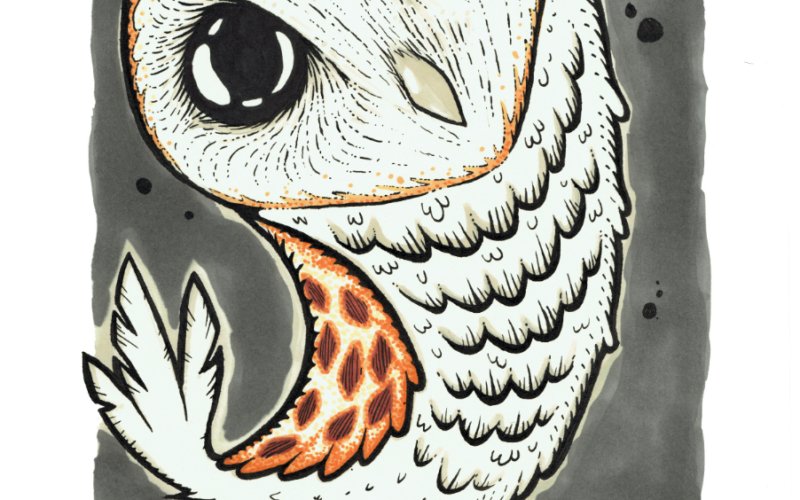 Illustrazione di un gufo stilizzato, opera dell'artista Fauna disturbata.