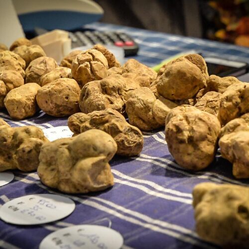 A Città di Castello il 46° Salone Nazionale del Tartufo Bianco Pregiato a novembre